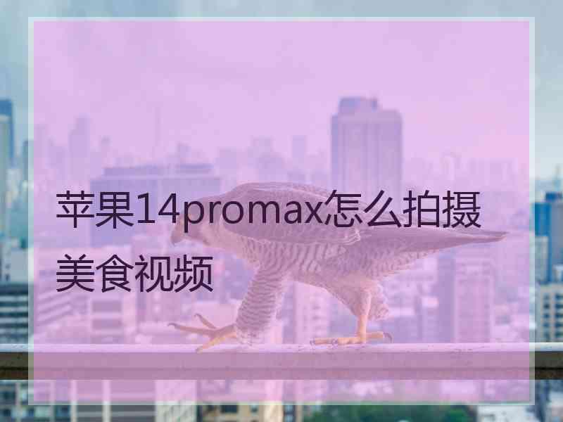 苹果14promax怎么拍摄美食视频