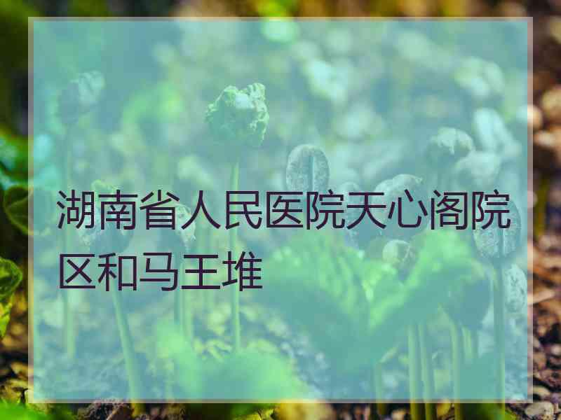 湖南省人民医院天心阁院区和马王堆