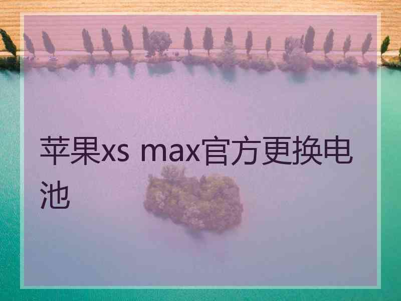 苹果xs max官方更换电池