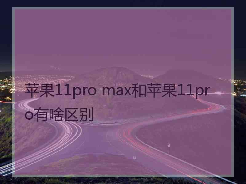 苹果11pro max和苹果11pro有啥区别