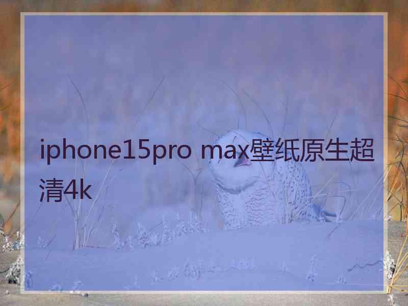 iphone15pro max壁纸原生超清4k