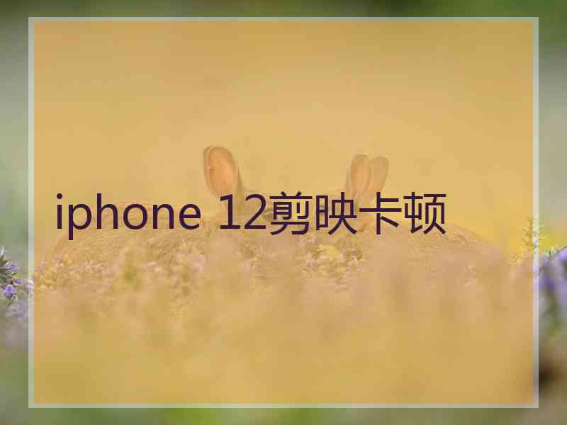 iphone 12剪映卡顿