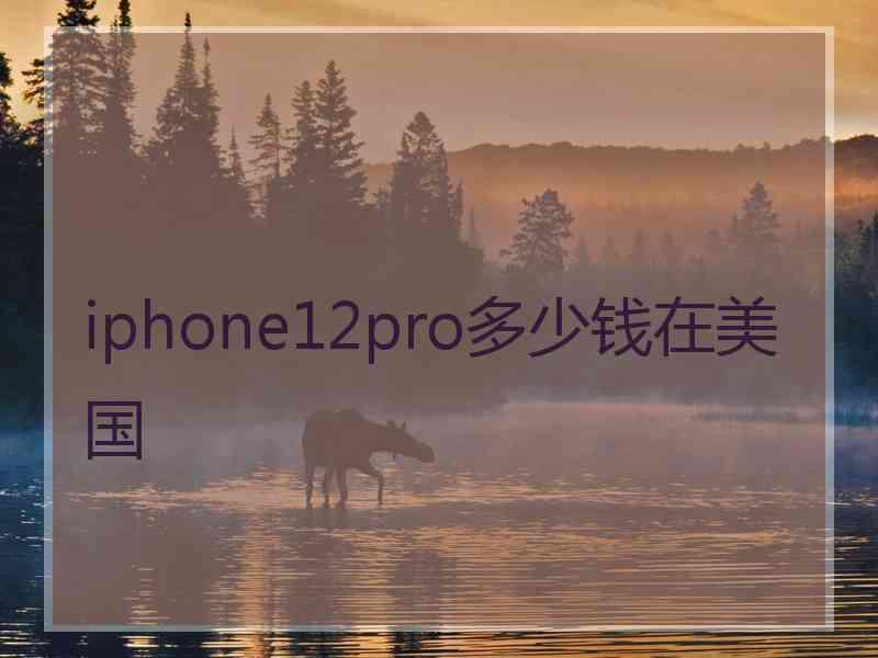 iphone12pro多少钱在美国