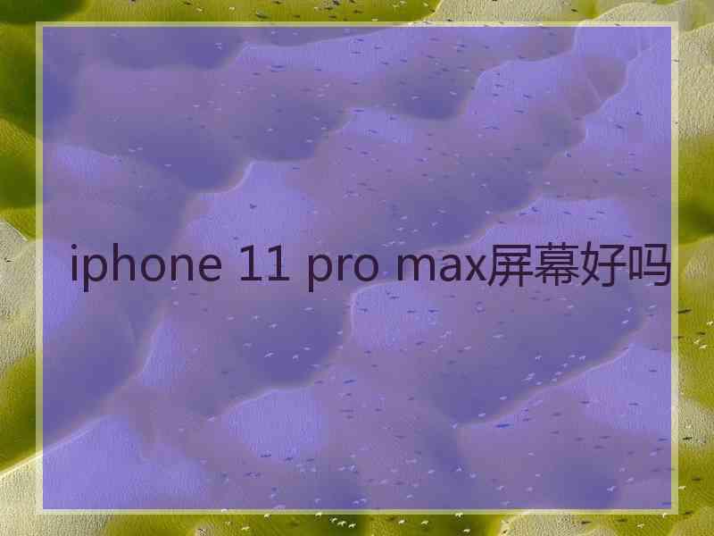 iphone 11 pro max屏幕好吗