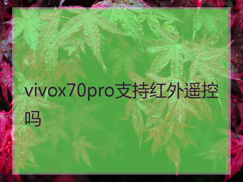 vivox70pro支持红外遥控吗