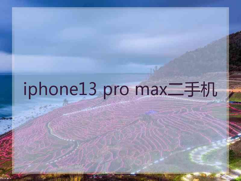 iphone13 pro max二手机