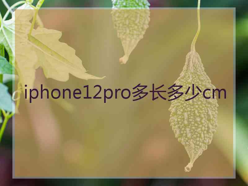 iphone12pro多长多少cm