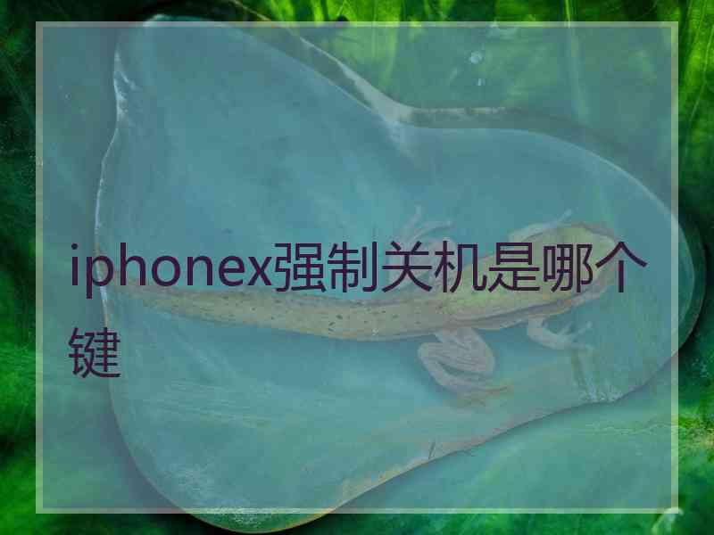 iphonex强制关机是哪个键