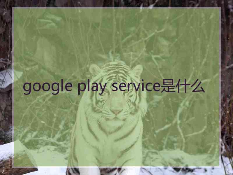 google play service是什么