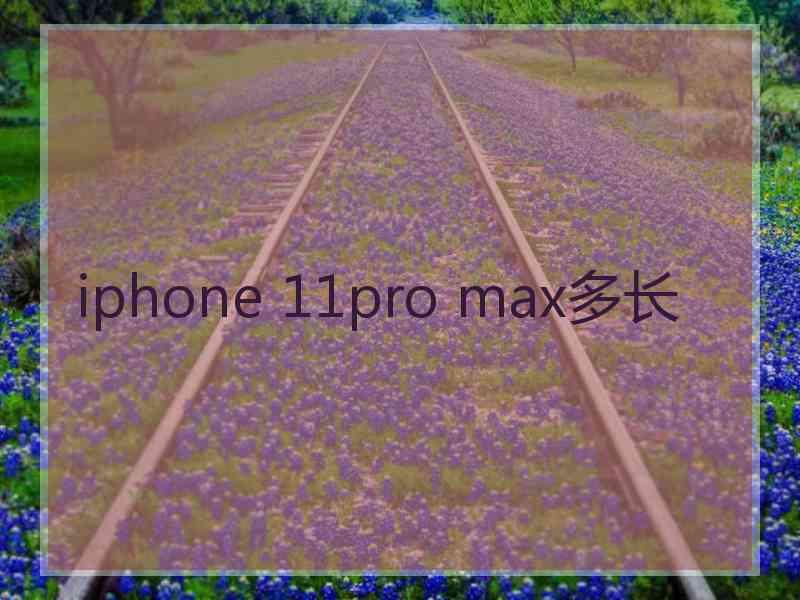 iphone 11pro max多长