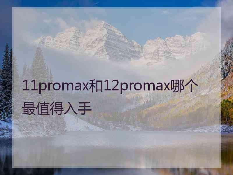 11promax和12promax哪个最值得入手