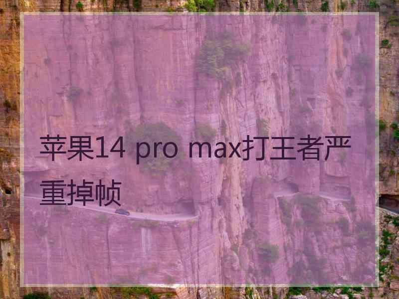 苹果14 pro max打王者严重掉帧