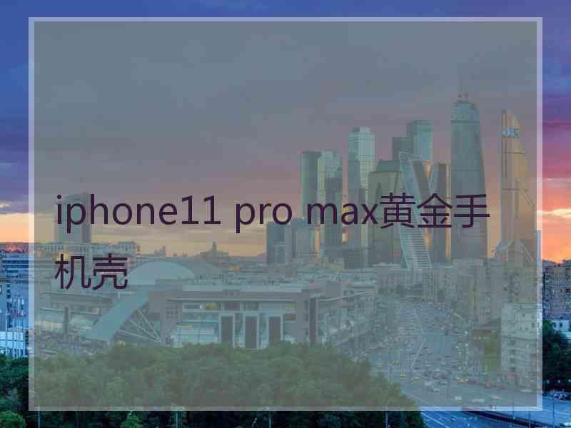 iphone11 pro max黄金手机壳