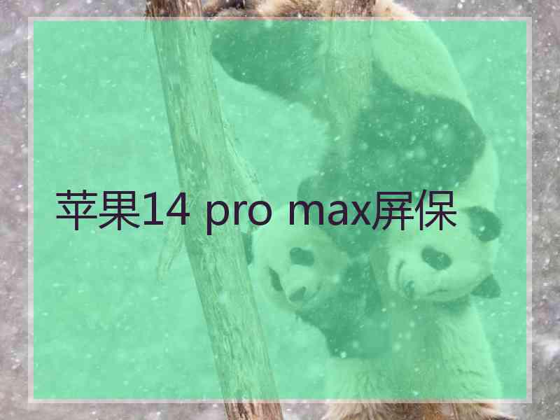 苹果14 pro max屏保