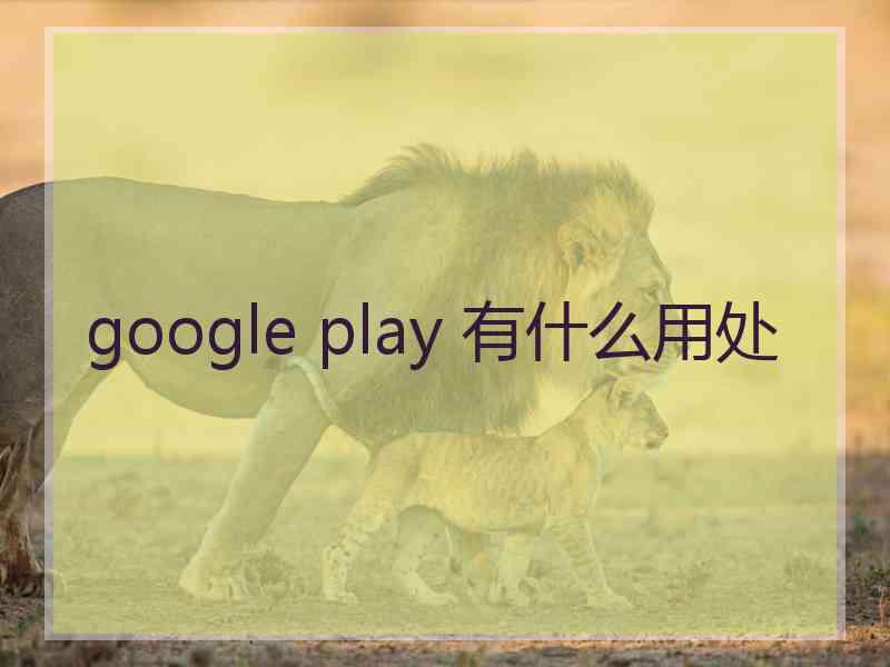 google play 有什么用处