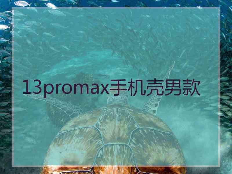 13promax手机壳男款