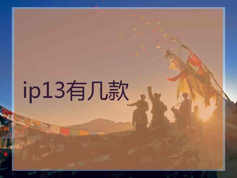 ip13有几款