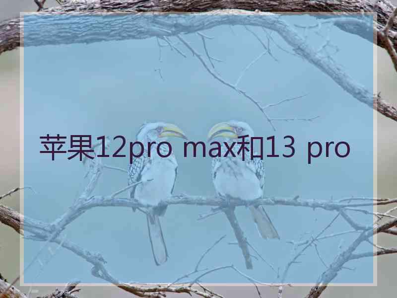 苹果12pro max和13 pro