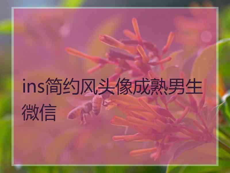 ins简约风头像成熟男生微信