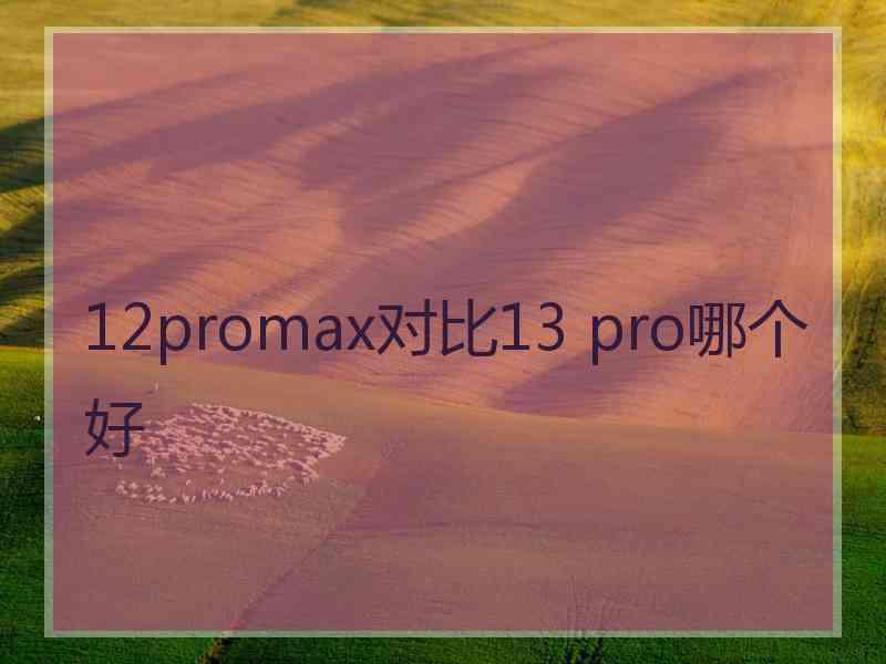 12promax对比13 pro哪个好