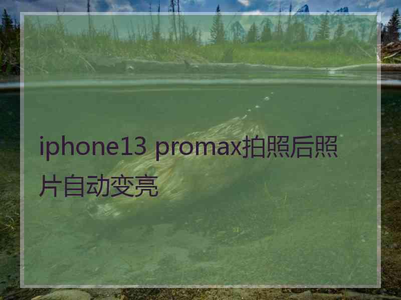 iphone13 promax拍照后照片自动变亮