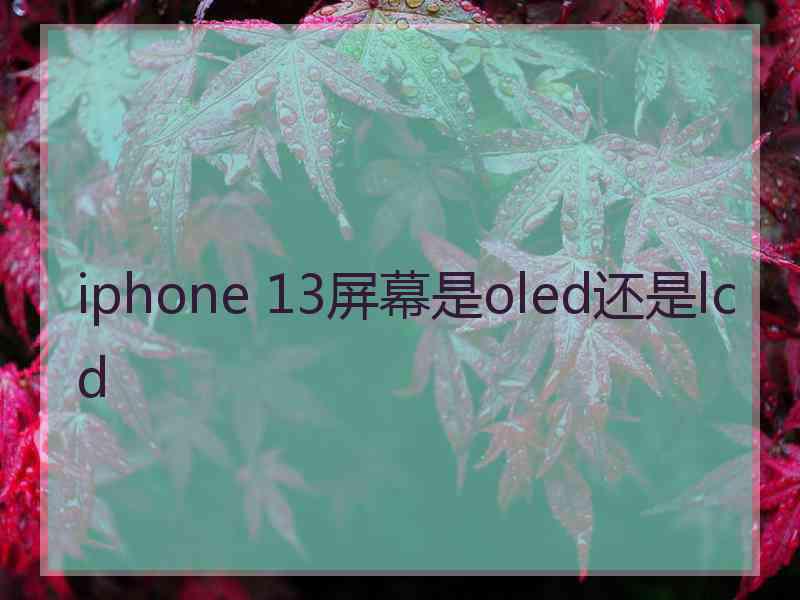 iphone 13屏幕是oled还是lcd