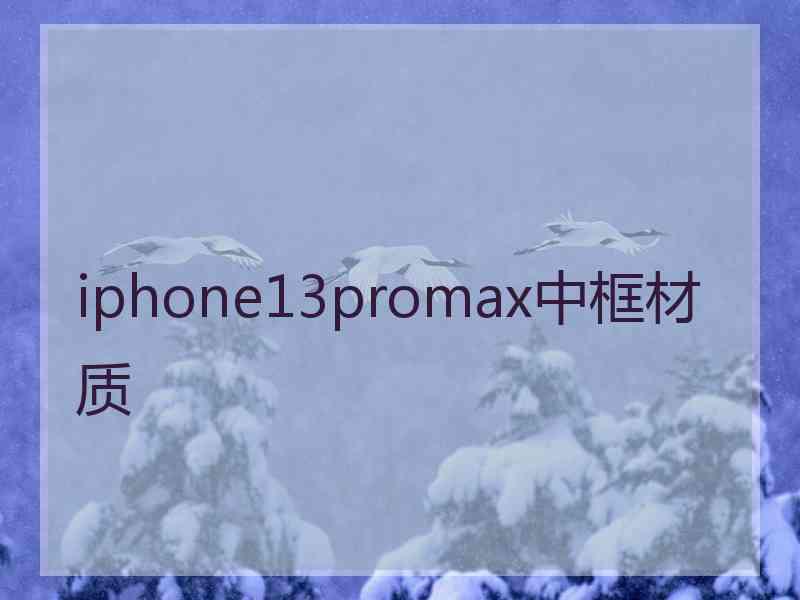 iphone13promax中框材质