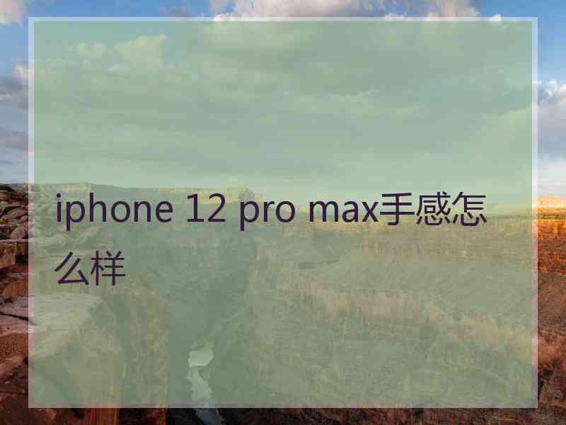 iphone 12 pro max手感怎么样