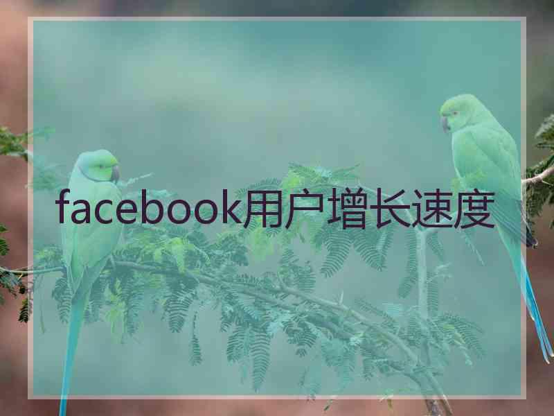 facebook用户增长速度