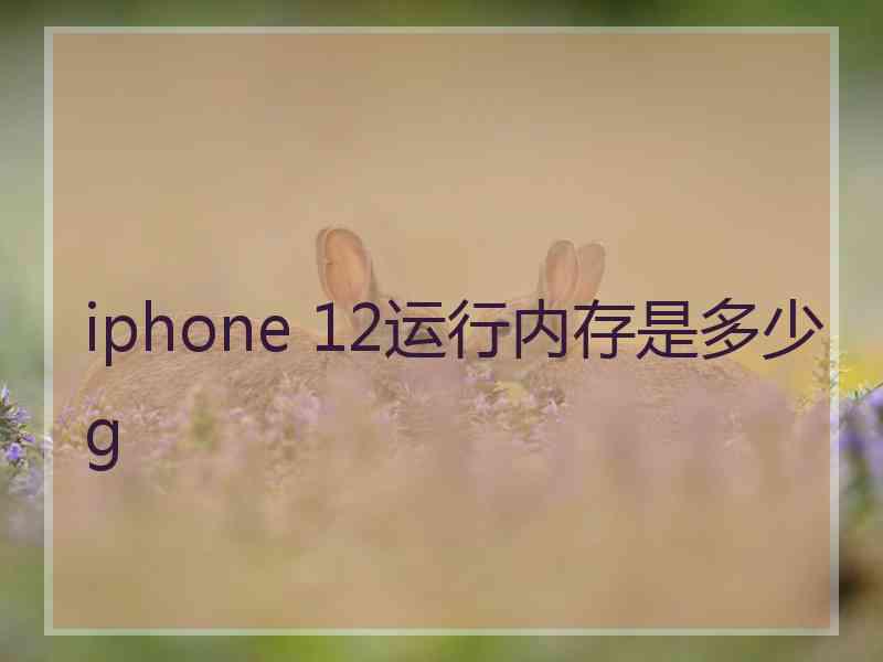 iphone 12运行内存是多少g