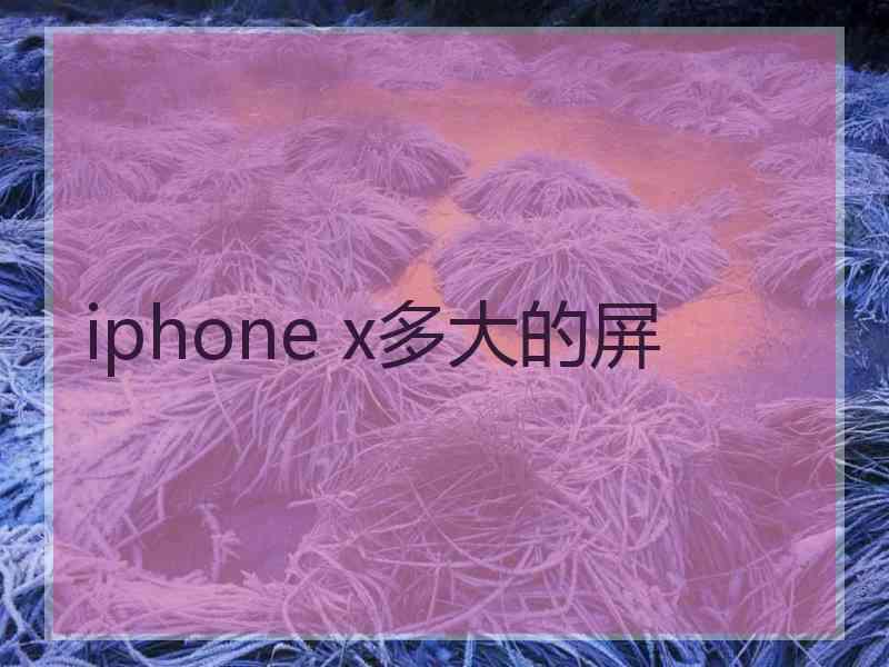 iphone x多大的屏