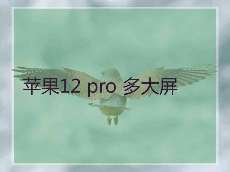 苹果12 pro 多大屏