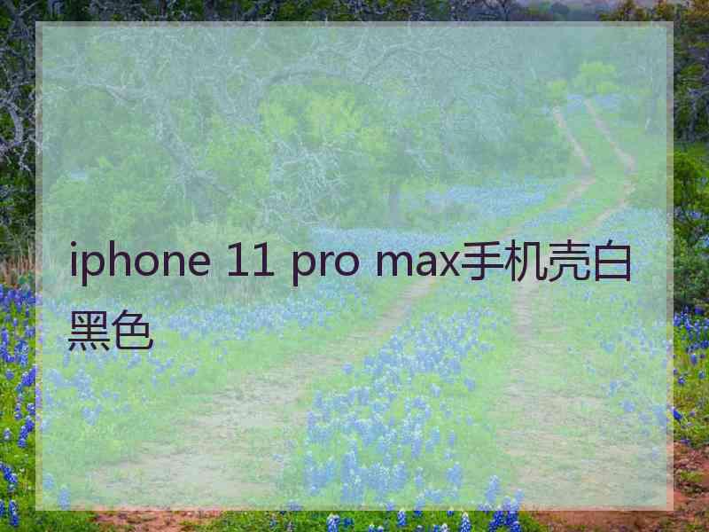 iphone 11 pro max手机壳白黑色