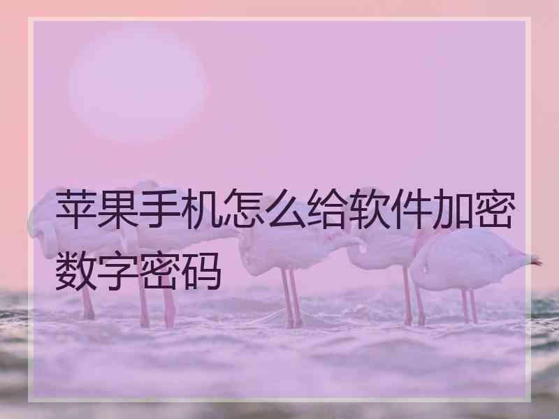 苹果手机怎么给软件加密数字密码