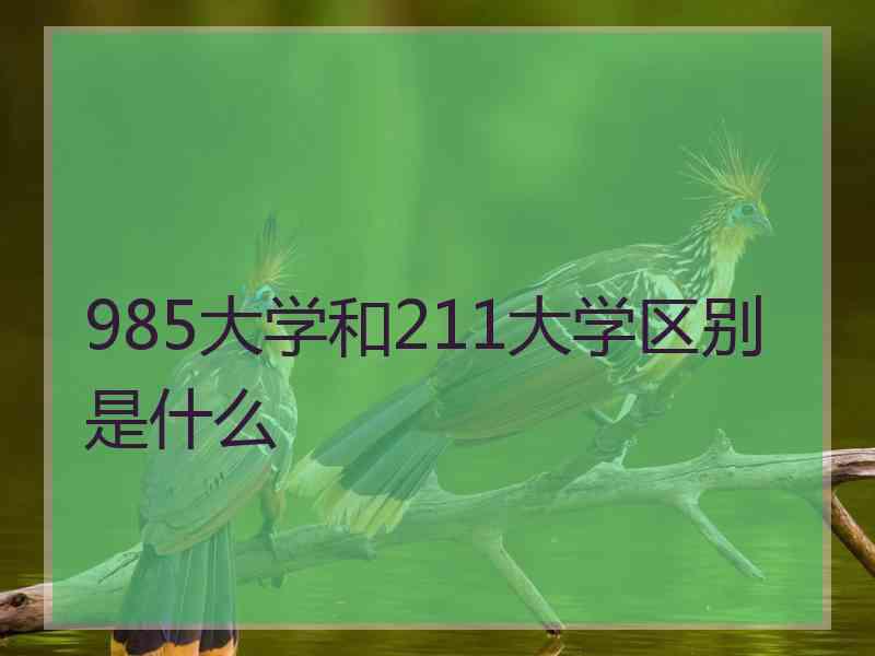 985大学和211大学区别是什么