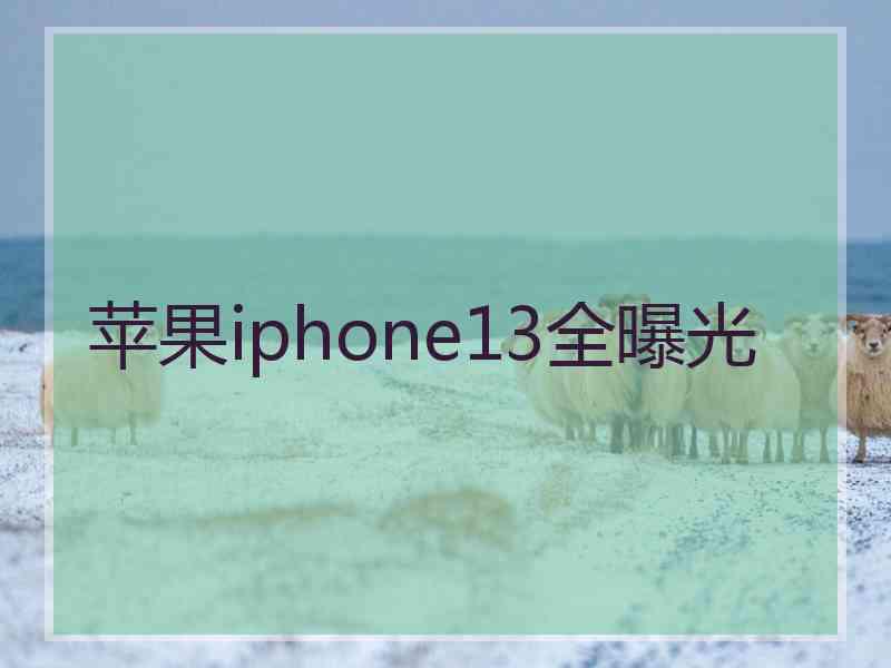 苹果iphone13全曝光