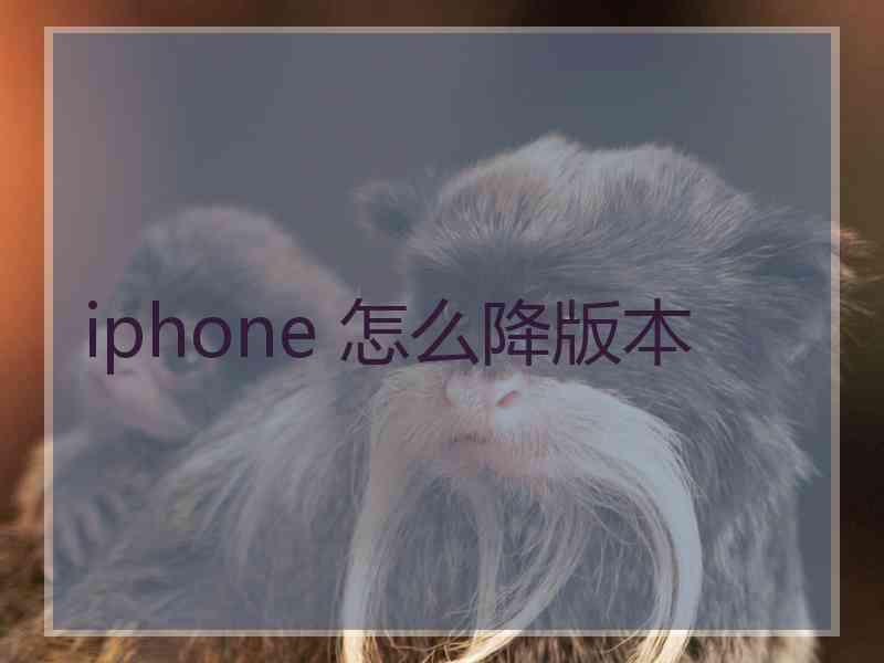 iphone 怎么降版本