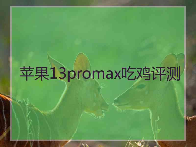 苹果13promax吃鸡评测