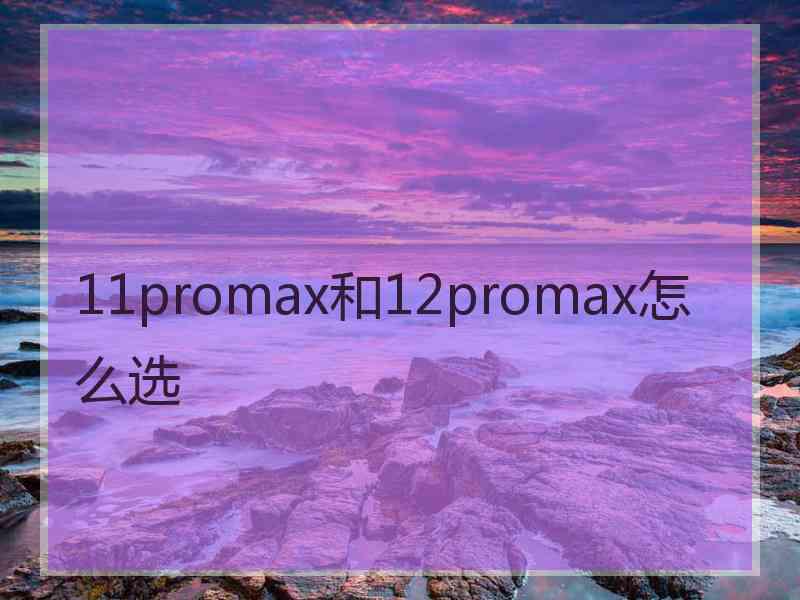 11promax和12promax怎么选