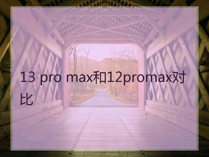 13 pro max和12promax对比