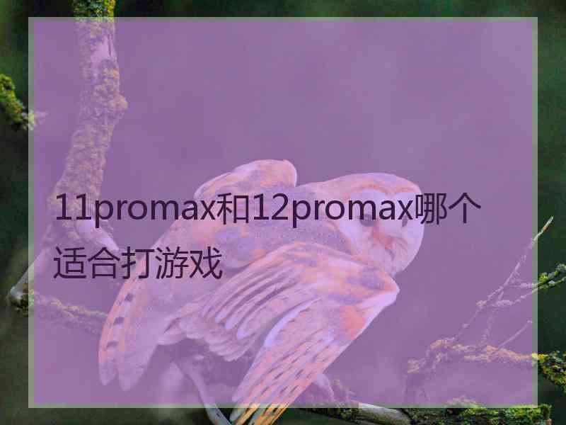 11promax和12promax哪个适合打游戏