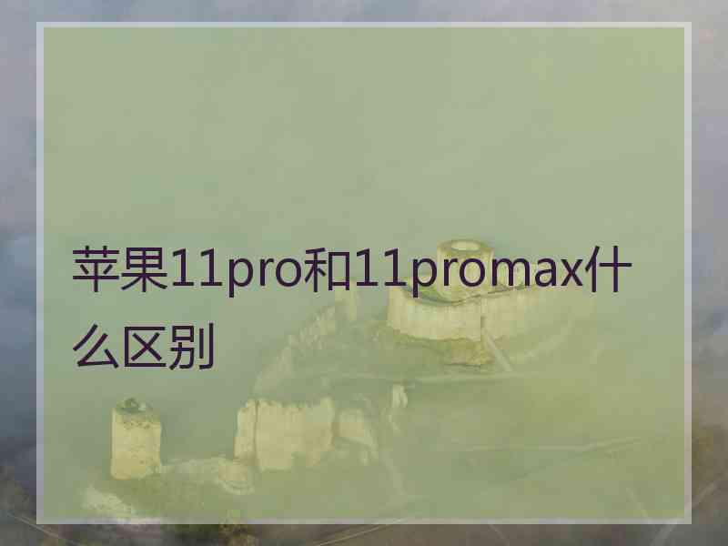 苹果11pro和11promax什么区别