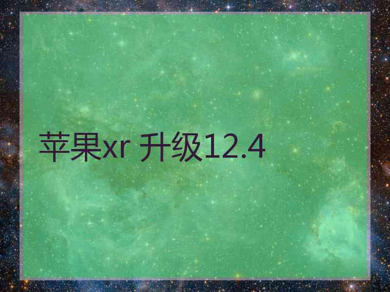 苹果xr 升级12.4