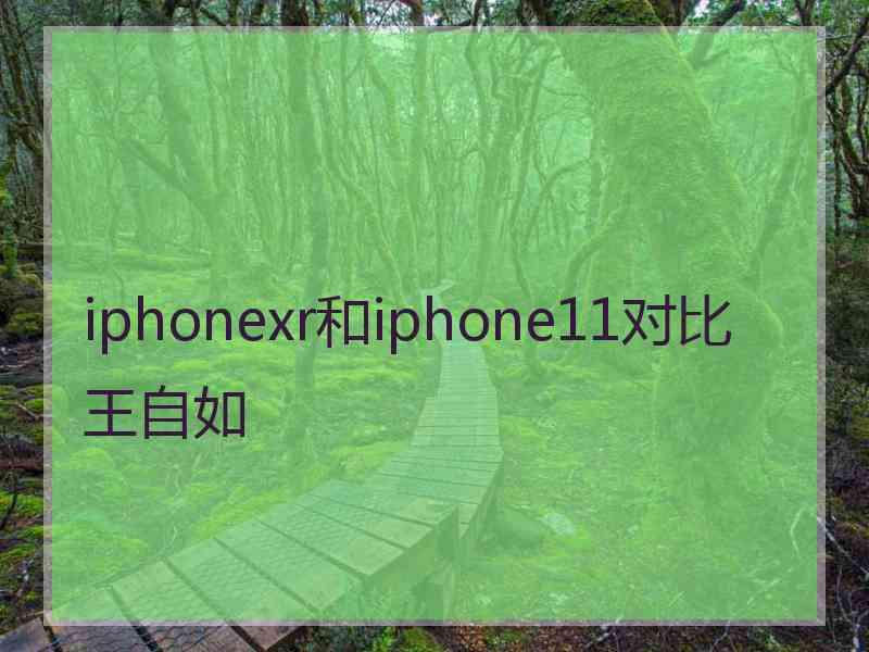 iphonexr和iphone11对比王自如