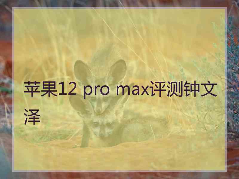 苹果12 pro max评测钟文泽