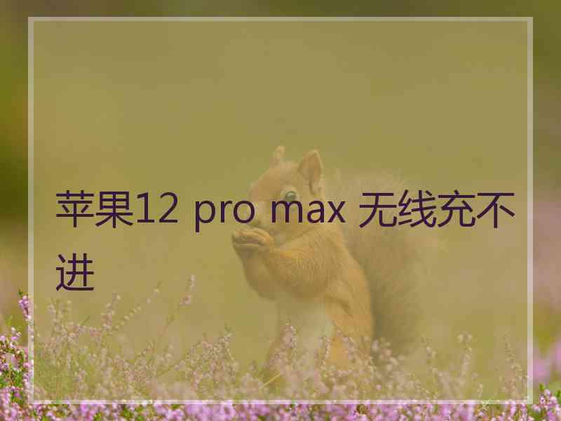 苹果12 pro max 无线充不进