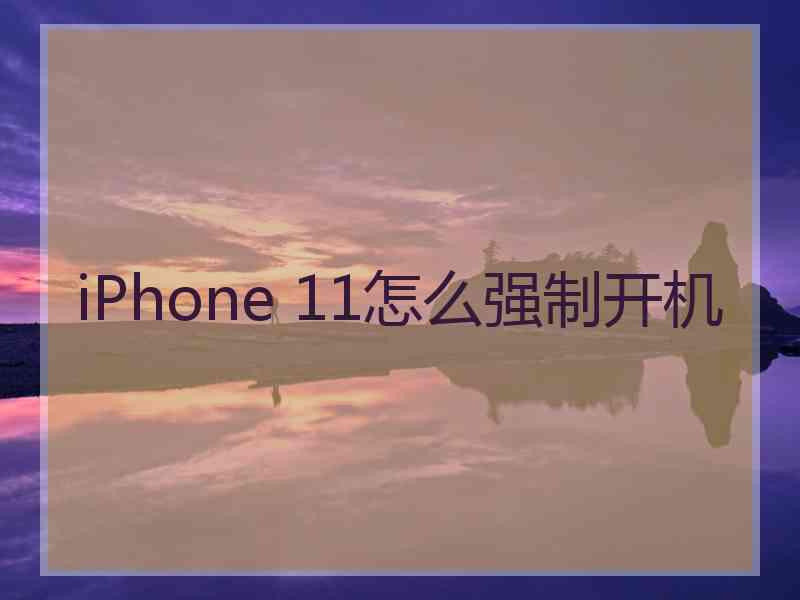 iPhone 11怎么强制开机