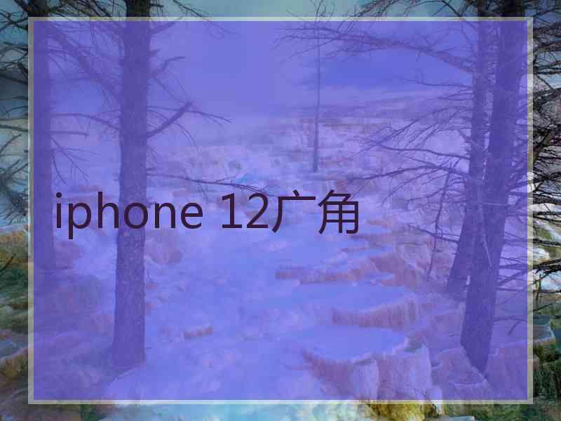 iphone 12广角