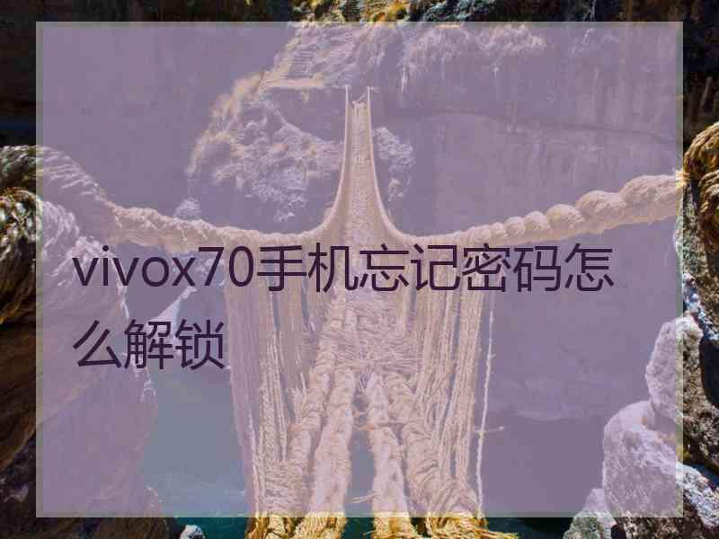 vivox70手机忘记密码怎么解锁