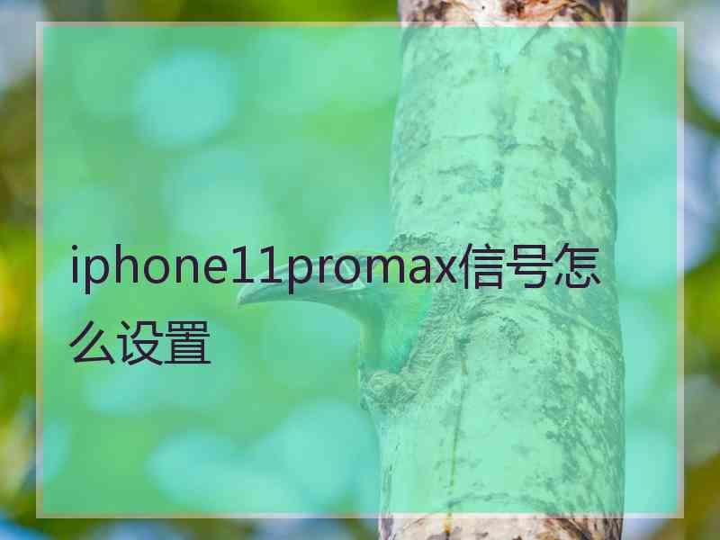 iphone11promax信号怎么设置